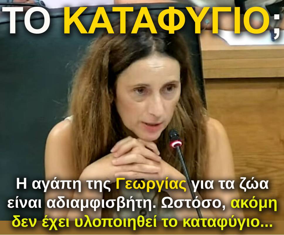 8.kasioti katafigio